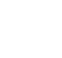 Logo Olution