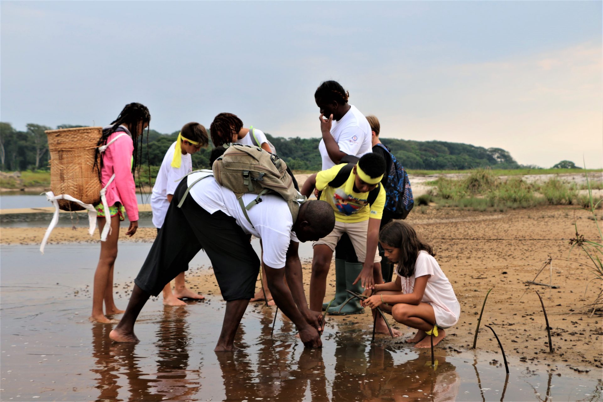 Mangroove à Nyonié, restauration d'une mangrove