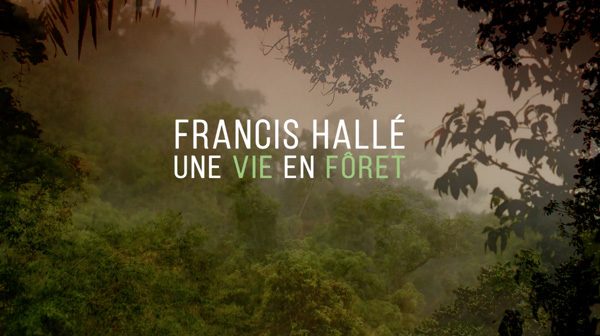 Tournage avec Francis Hallé