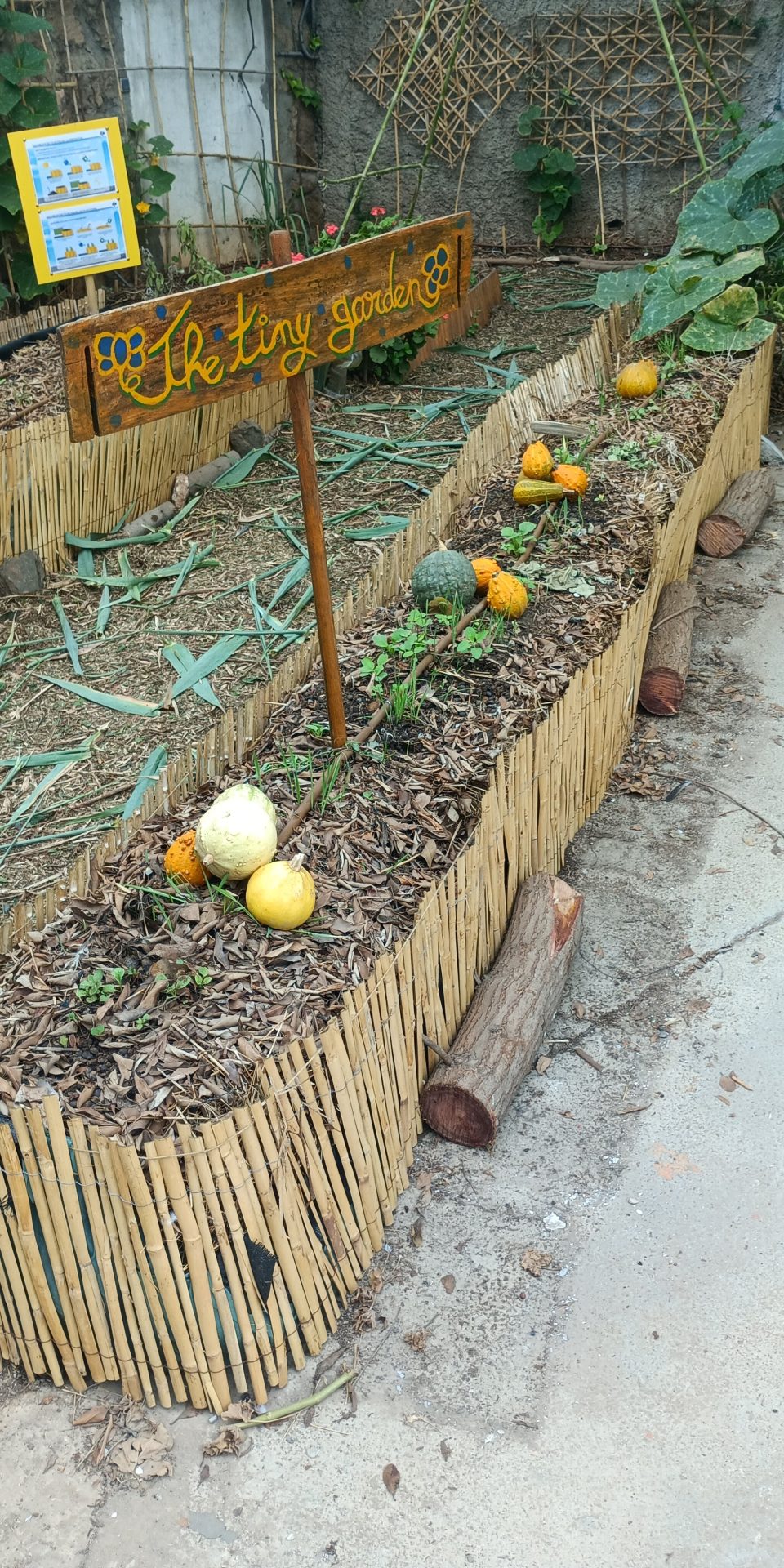 Le tiny garden, potager urbain