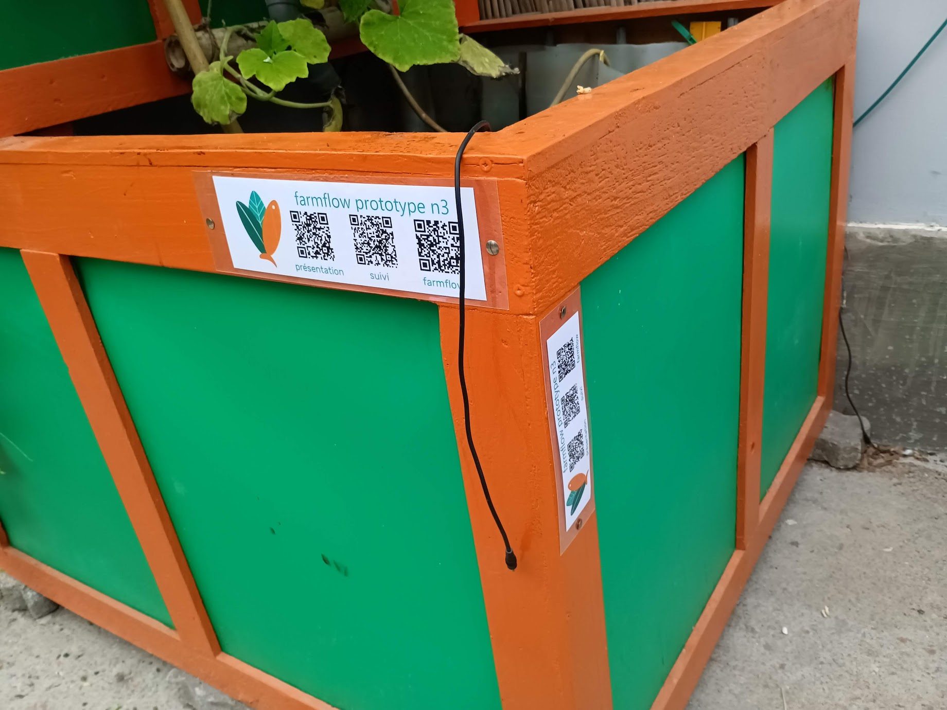 Farmflow Prototype 3, aquaponie à l'école