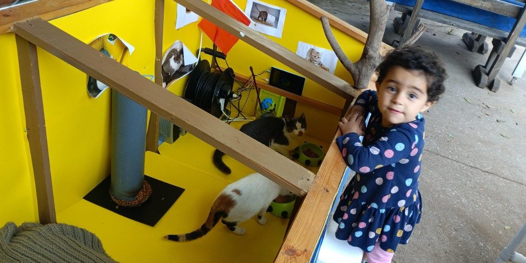 Maison pour chat connectée
